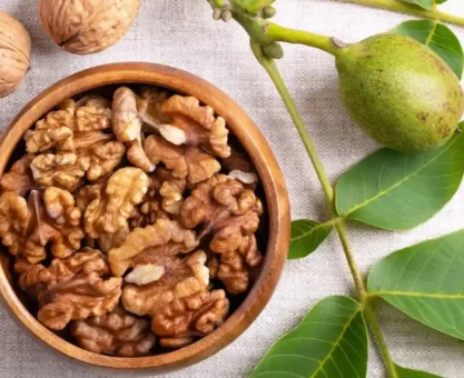 Walnut