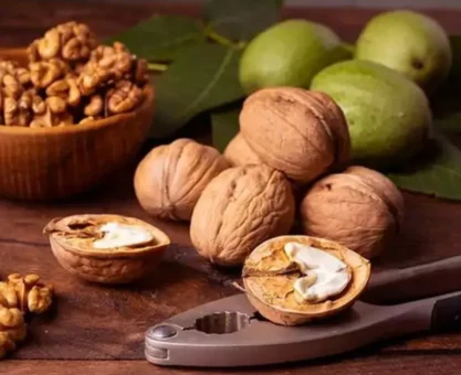 Walnut benefits