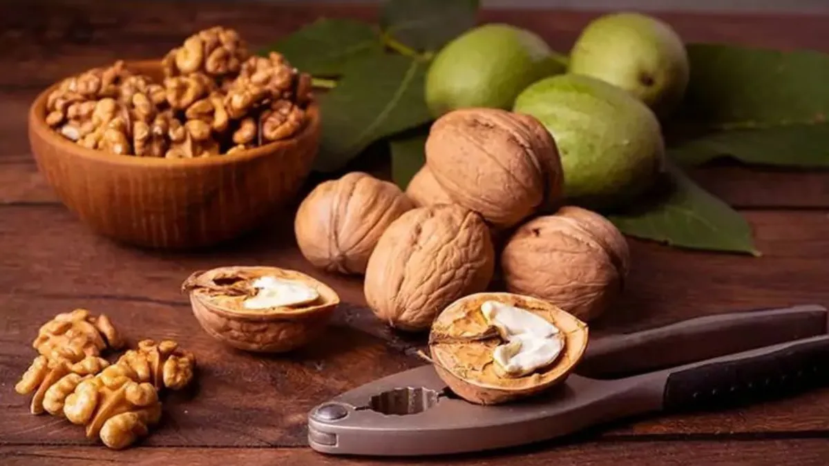 Walnut benefits
