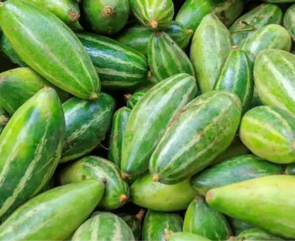 Pointed gourd