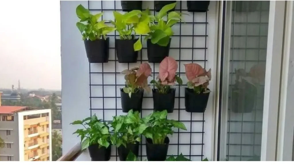 Vertical Gardening